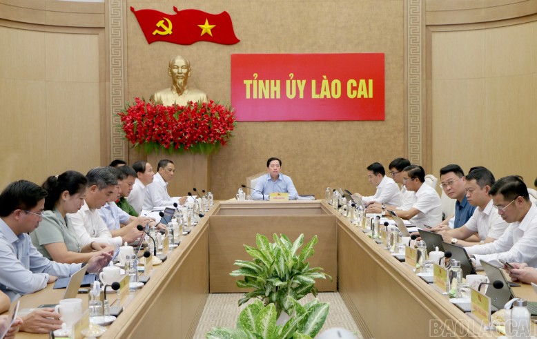 Lào Cai quyết liệt triển khai các nhiệm vụ chuyển đổi số được Trung ương giao